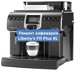 Чистка кофемашины Liberty's F11 Plus 8L от накипи в Ижевске